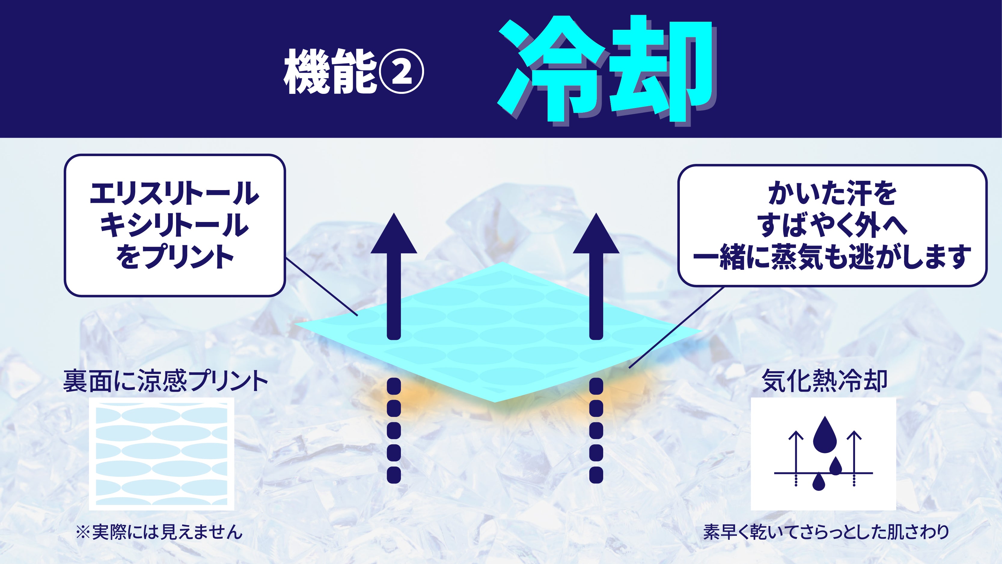 【予約販売】フルレングスタイツ