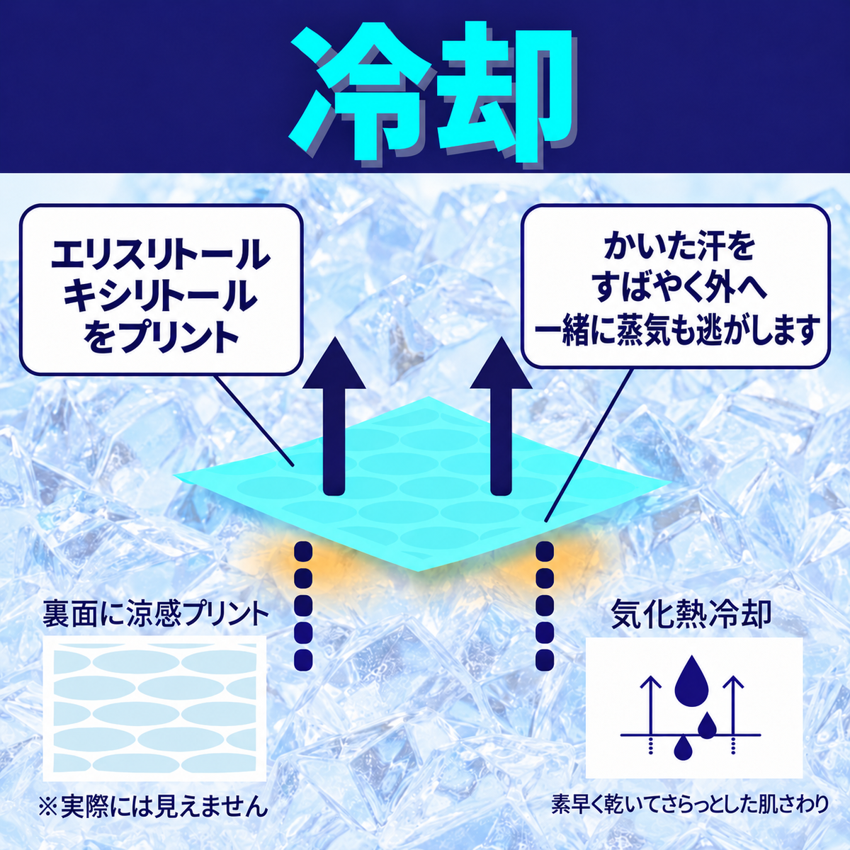 【NEW】クルーネック ロングスリーブ